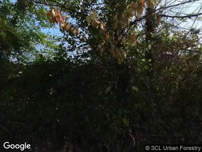 Street view of 4348 S Henderson St