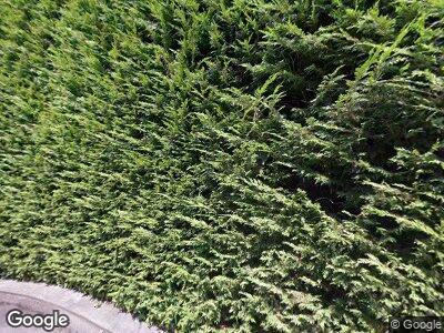 Street view of 2227 Evergreen Point Rd
