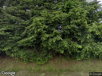 Street view of 9717 To 9719 14th Av E