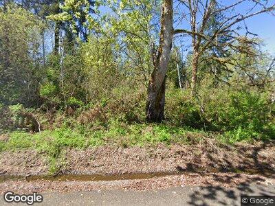 Street view of 15114 295th St E