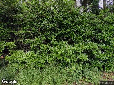 Street view of 7104 93rd St E