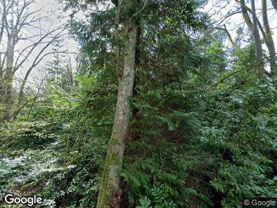 Street view of 16516 74th Pl W