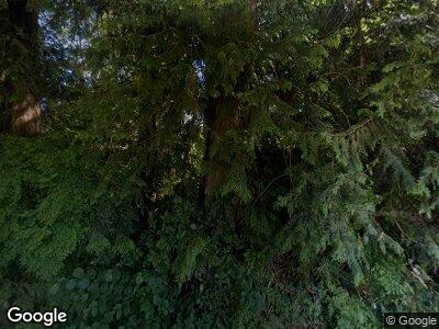Street view of 12520 322nd Ave NE