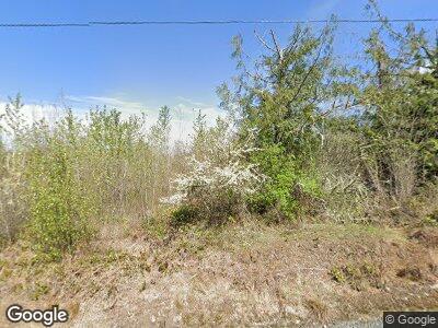 Street view of 42935 Roedomsky Rd E
