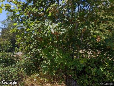Street view of 35781 51st